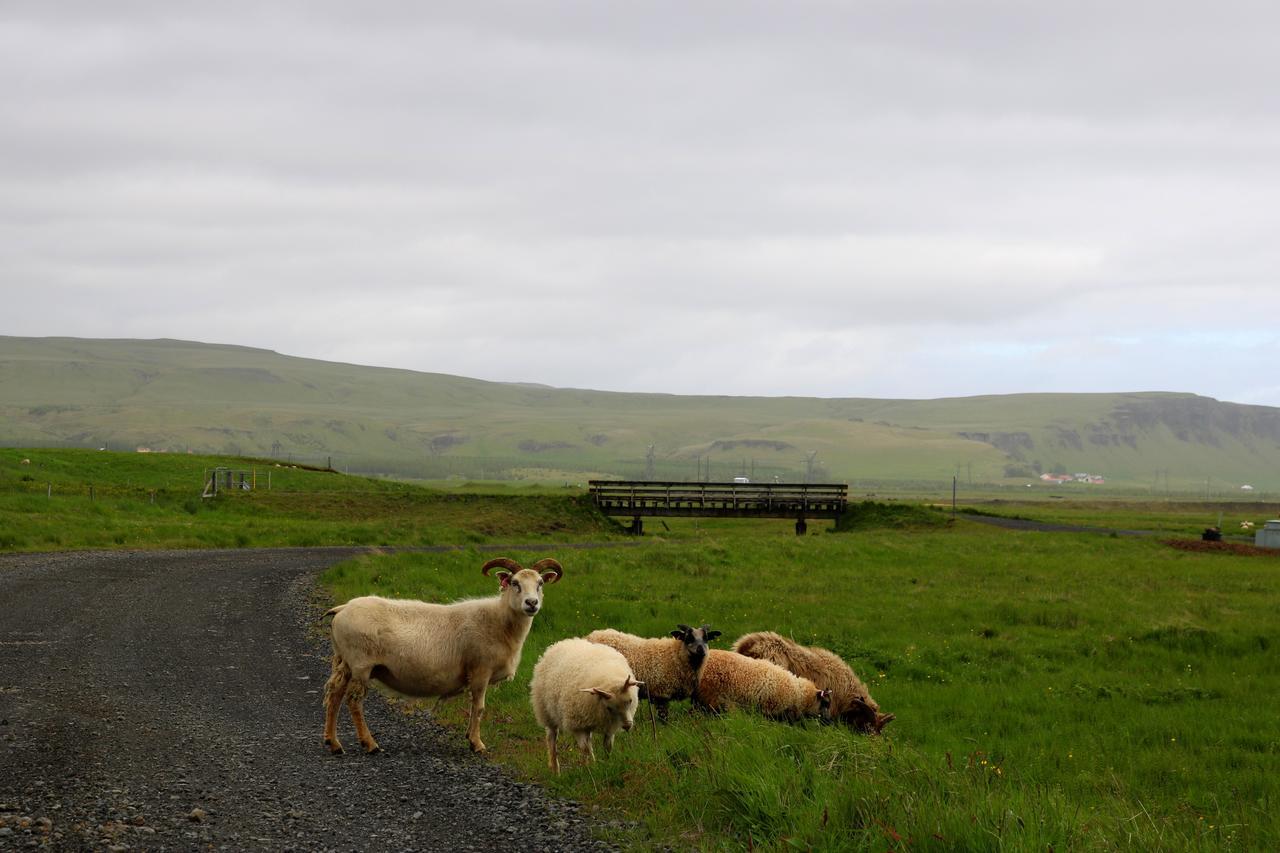 Adventure Hotel Geirland Kirkjubæjarklaustur Esterno foto