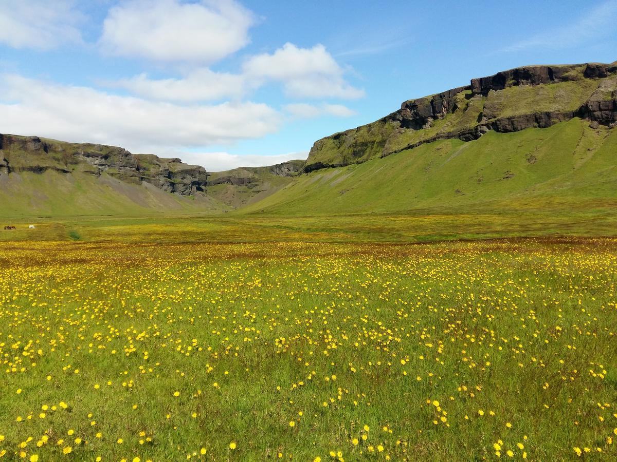 Adventure Hotel Geirland Kirkjubæjarklaustur Esterno foto